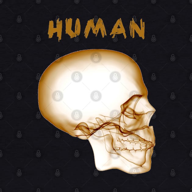 Human Skull - Orange by The Architect Shop